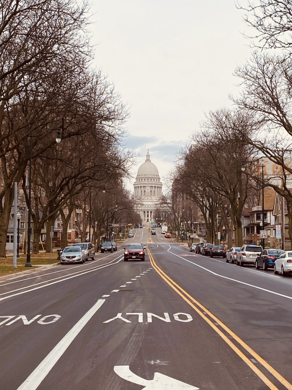 A photo of the Capitol building from a far away street view. The photo is taken from the road, with the Capitol surrounded by trees. The sky is cloudy.